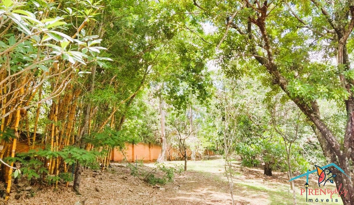 Venda de Chácara em Pirenópolis é na Siqueira Imobiliária de Pirenópolis / Imobiliária de Goiás / Imobiliária do Brasil / Imobiliária do Centro-Oeste / Pirenópolis Imóveis / Imóveis Pirenópolis / Imobiliária de Pirenópolis / Pirenópolis Imobiliária / Goiás Imóveis / Brasil Imóveis / Pirenópolis / Goiás / Brasil / Siqueira Imobiliária de Goiás / Consultoria Imobiliária / Consultor Imobiliário / Venda de Imóveis Pirenópolis / Melhor Imobiliária de Pirenópolis / Venda de pousadas / Venda de terrenos / venda de casas/ Venda de Lotes / Venda de Chácara / Venda de Fazenda / Venda de Apartamentos / Venda de Flat / Venda de Sítio / Brasília Imóveis / Goiânia Imóveis / Imobiliária de Goiânia / Imobiliária de Brasília/ Imobiliária em Pirenópolis / Imobiliária de Pirenópolis / Condomínio Fechado Vaga Fogo / Condomínio Paço da Estalagem / Condomínio Parque da Estalagem / Condomínio Quinta do Sol / Condomínio Fechado Pirenópolis / Cachoeiras Pirenópolis / Restaurante Pirenópolis / Imóveis Pirenópolis / Chácara Rio das Almas / Chácara Padre Bernardo / Venda de Chácara em Padre Bernardo / Venda de Casarão em Pirenópolis / Casarão em Pirenópolis / Casarão Histórico Pirenópolis / Centro Histórico Pirenópolis / Centro Pirenópolis / Venda de Sobrado no Condomínio Parque da Estalagem / Parque da Estalagem Pirenópolis / Melhor Condomínio de Pirenópolis / Condomínio Vaga Fogo / Venda de Sobrado Condomínio Vaga Fogo / Vaga Fogo / Córrego Vaga Fogo / Venda de Casa no Centro Histórico de Pirenópolis / Casa Centro Histórico / Venda de Casa na Vila Matutina / Casa Vila Matutina / Casa Bairro da Luz Pirenópolis / Venda de Casa em Bairro nobre de Pirenópolis / Venda de Casa de Luxo Pirenópolis / Casas Boas em Pirenópolis / Casa Com piscina Pirenópolis / Venda de Casa no Santa Bárbara Pirenópolis / Casa Santa Bárbara Pirenópolis / Casa Bairro do Carmo Pirenópolis / Casa Carmo / Casa Grande Pirenópolis / Venda de Casa Setor Meia Ponte Pirenópolis / Casa Setor Meia Ponte / Venda de Casa Santa Luzia Pirenópolis / Venda de Casa no Jardim Esmeralda / Venda de Casa Brasília / Venda de Casa DF / Brasília Imóveis / Lago Norte / Lago Sul / Brasília Plano Piloto / Dicas de Investimento em Pirenópolis / Igreja Matriz Pirenópolis / Igreja Matriz / Venda de Casa em Anápolis / Casa Anápolis / Imobiliária de Anápolis / Anápolis Imóveis / Venda de Casarão em Pirenópolis / Venda de Casarão em Goiás