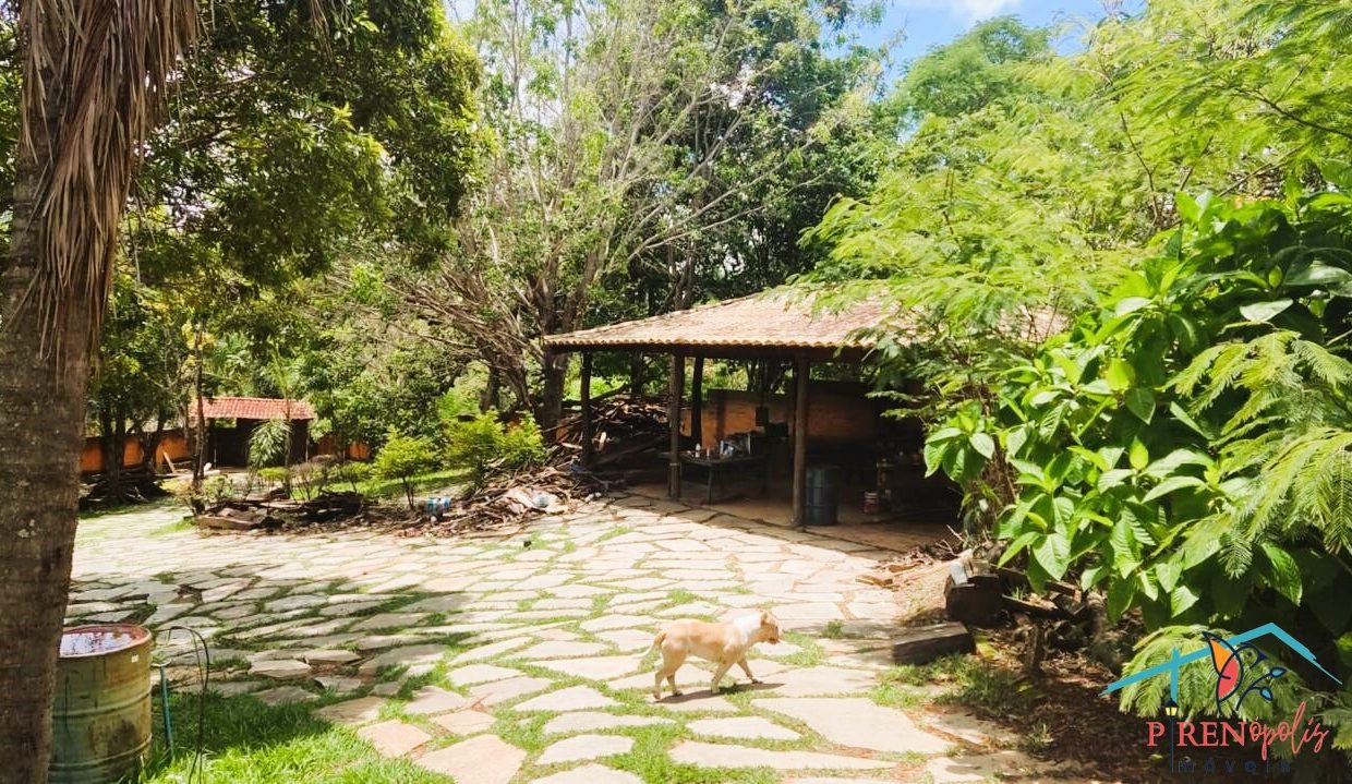 Venda de Chácara em Pirenópolis é na Siqueira Imobiliária de Pirenópolis / Imobiliária de Goiás / Imobiliária do Brasil / Imobiliária do Centro-Oeste / Pirenópolis Imóveis / Imóveis Pirenópolis / Imobiliária de Pirenópolis / Pirenópolis Imobiliária / Goiás Imóveis / Brasil Imóveis / Pirenópolis / Goiás / Brasil / Siqueira Imobiliária de Goiás / Consultoria Imobiliária / Consultor Imobiliário / Venda de Imóveis Pirenópolis / Melhor Imobiliária de Pirenópolis / Venda de pousadas / Venda de terrenos / venda de casas/ Venda de Lotes / Venda de Chácara / Venda de Fazenda / Venda de Apartamentos / Venda de Flat / Venda de Sítio / Brasília Imóveis / Goiânia Imóveis / Imobiliária de Goiânia / Imobiliária de Brasília/ Imobiliária em Pirenópolis / Imobiliária de Pirenópolis / Condomínio Fechado Vaga Fogo / Condomínio Paço da Estalagem / Condomínio Parque da Estalagem / Condomínio Quinta do Sol / Condomínio Fechado Pirenópolis / Cachoeiras Pirenópolis / Restaurante Pirenópolis / Imóveis Pirenópolis / Chácara Rio das Almas / Chácara Padre Bernardo / Venda de Chácara em Padre Bernardo / Venda de Casarão em Pirenópolis / Casarão em Pirenópolis / Casarão Histórico Pirenópolis / Centro Histórico Pirenópolis / Centro Pirenópolis / Venda de Sobrado no Condomínio Parque da Estalagem / Parque da Estalagem Pirenópolis / Melhor Condomínio de Pirenópolis / Condomínio Vaga Fogo / Venda de Sobrado Condomínio Vaga Fogo / Vaga Fogo / Córrego Vaga Fogo / Venda de Casa no Centro Histórico de Pirenópolis / Casa Centro Histórico / Venda de Casa na Vila Matutina / Casa Vila Matutina / Casa Bairro da Luz Pirenópolis / Venda de Casa em Bairro nobre de Pirenópolis / Venda de Casa de Luxo Pirenópolis / Casas Boas em Pirenópolis / Casa Com piscina Pirenópolis / Venda de Casa no Santa Bárbara Pirenópolis / Casa Santa Bárbara Pirenópolis / Casa Bairro do Carmo Pirenópolis / Casa Carmo / Casa Grande Pirenópolis / Venda de Casa Setor Meia Ponte Pirenópolis / Casa Setor Meia Ponte / Venda de Casa Santa Luzia Pirenópolis / Venda de Casa no Jardim Esmeralda / Venda de Casa Brasília / Venda de Casa DF / Brasília Imóveis / Lago Norte / Lago Sul / Brasília Plano Piloto / Dicas de Investimento em Pirenópolis / Igreja Matriz Pirenópolis / Igreja Matriz / Venda de Casa em Anápolis / Casa Anápolis / Imobiliária de Anápolis / Anápolis Imóveis / Venda de Casarão em Pirenópolis / Venda de Casarão em Goiás