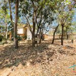 Venda de Chácara em Pirenópolis é na Siqueira Imobiliária de Pirenópolis / Imobiliária de Goiás / Imobiliária do Brasil / Imobiliária do Centro-Oeste / Pirenópolis Imóveis / Imóveis Pirenópolis / Imobiliária de Pirenópolis / Pirenópolis Imobiliária / Goiás Imóveis / Brasil Imóveis / Pirenópolis / Goiás / Brasil / Siqueira Imobiliária de Goiás / Consultoria Imobiliária / Consultor Imobiliário / Venda de Imóveis Pirenópolis / Melhor Imobiliária de Pirenópolis / Venda de pousadas / Venda de terrenos / venda de casas/ Venda de Lotes / Venda de Chácara / Venda de Fazenda / Venda de Apartamentos / Venda de Flat / Venda de Sítio / Brasília Imóveis / Goiânia Imóveis / Imobiliária de Goiânia / Imobiliária de Brasília/ Imobiliária em Pirenópolis / Imobiliária de Pirenópolis / Condomínio Fechado Vaga Fogo / Condomínio Paço da Estalagem / Condomínio Parque da Estalagem / Condomínio Quinta do Sol / Condomínio Fechado Pirenópolis / Cachoeiras Pirenópolis / Restaurante Pirenópolis / Imóveis Pirenópolis / Chácara Rio das Almas / Chácara Padre Bernardo / Venda de Chácara em Padre Bernardo / Venda de Casarão em Pirenópolis / Casarão em Pirenópolis / Casarão Histórico Pirenópolis / Centro Histórico Pirenópolis / Centro Pirenópolis / Venda de Sobrado no Condomínio Parque da Estalagem / Parque da Estalagem Pirenópolis / Melhor Condomínio de Pirenópolis / Condomínio Vaga Fogo / Venda de Sobrado Condomínio Vaga Fogo / Vaga Fogo / Córrego Vaga Fogo / Venda de Casa no Centro Histórico de Pirenópolis / Casa Centro Histórico / Venda de Casa na Vila Matutina / Casa Vila Matutina / Casa Bairro da Luz Pirenópolis / Venda de Casa em Bairro nobre de Pirenópolis / Venda de Casa de Luxo Pirenópolis / Casas Boas em Pirenópolis / Casa Com piscina Pirenópolis / Venda de Casa no Santa Bárbara Pirenópolis / Casa Santa Bárbara Pirenópolis / Casa Bairro do Carmo Pirenópolis / Casa Carmo / Casa Grande Pirenópolis / Venda de Casa Setor Meia Ponte Pirenópolis / Casa Setor Meia Ponte / Venda de Casa Santa Luzia Pirenópolis / Venda de Casa no Jardim Esmeralda / Venda de Casa Brasília / Venda de Casa DF / Brasília Imóveis / Lago Norte / Lago Sul / Brasília Plano Piloto / Dicas de Investimento em Pirenópolis / Igreja Matriz Pirenópolis / Igreja Matriz / Venda de Casa em Anápolis / Casa Anápolis / Imobiliária de Anápolis / Anápolis Imóveis / Venda de Casarão em Pirenópolis / Venda de Casarão em Goiás