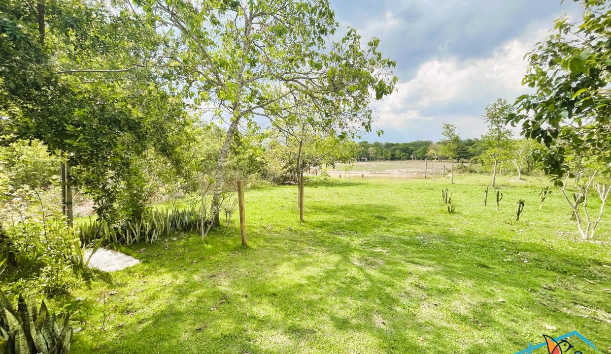 WhatsApp Image 2025-10-19 at 11.23.47 (18)