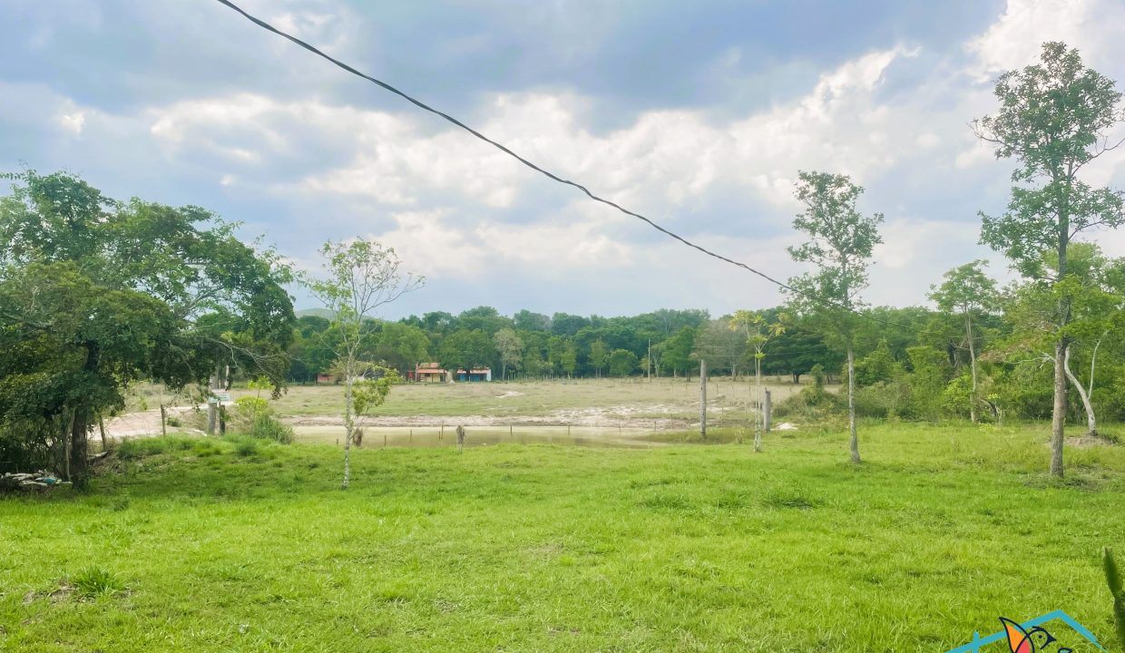 WhatsApp Image 2025-10-19 at 11.23.47 (2)