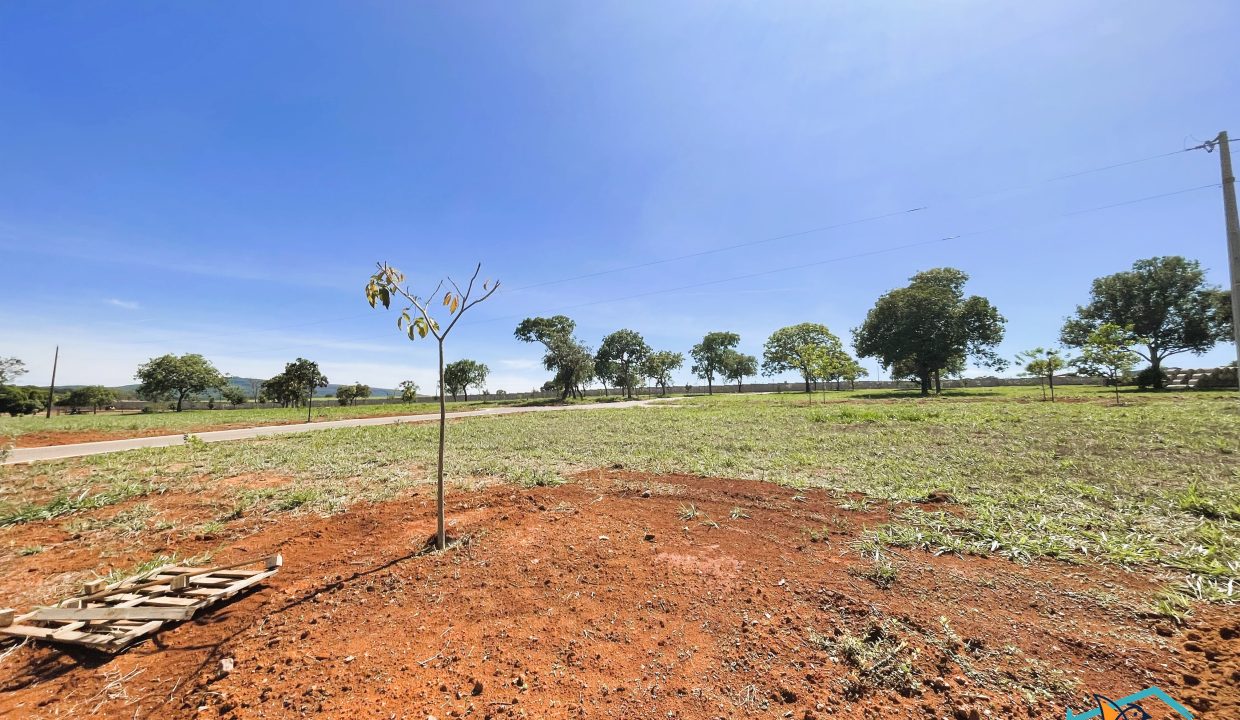 Venda de Chácara em Pirenópolis é na Siqueira Imobiliária de Pirenópolis / Imobiliária de Goiás / Imobiliária do Brasil / Imobiliária do Centro-Oeste / Pirenópolis Imóveis / Imóveis Pirenópolis / Imobiliária de Pirenópolis / Pirenópolis Imobiliária / Goiás Imóveis / Brasil Imóveis / Pirenópolis / Goiás / Brasil / Siqueira Imobiliária de Goiás / Consultoria Imobiliária / Consultor Imobiliário / Venda de Imóveis Pirenópolis / Melhor Imobiliária de Pirenópolis / Venda de pousadas / Venda de terrenos / venda de casas/ Venda de Lotes / Venda de Chácara / Venda de Fazenda / Venda de Apartamentos / Venda de Flat / Venda de Sítio / Brasília Imóveis / Goiânia Imóveis / Imobiliária de Goiânia / Imobiliária de Brasília/ Imobiliária em Pirenópolis / Imobiliária de Pirenópolis / Condomínio Fechado Vaga Fogo / Condomínio Paço da Estalagem / Condomínio Parque da Estalagem / Condomínio Quinta do Sol / Condomínio Fechado Pirenópolis / Cachoeiras Pirenópolis / Restaurante Pirenópolis / Imóveis Pirenópolis / Chácara Rio das Almas / Chácara Padre Bernardo / Venda de Chácara em Padre Bernardo / Venda de Casarão em Pirenópolis / Casarão em Pirenópolis / Casarão Histórico Pirenópolis / Centro Histórico Pirenópolis / Centro Pirenópolis / Venda de Sobrado no Condomínio Parque da Estalagem / Parque da Estalagem Pirenópolis / Melhor Condomínio de Pirenópolis / Condomínio Vaga Fogo / Venda de Sobrado Condomínio Vaga Fogo / Vaga Fogo / Córrego Vaga Fogo / Venda de Casa no Centro Histórico de Pirenópolis / Casa Centro Histórico / Venda de Casa na Vila Matutina / Casa Vila Matutina / Casa Bairro da Luz Pirenópolis / Venda de Casa em Bairro nobre de Pirenópolis / Venda de Casa de Luxo Pirenópolis / Casas Boas em Pirenópolis / Casa Com piscina Pirenópolis / Venda de Casa no Santa Bárbara Pirenópolis / Casa Santa Bárbara Pirenópolis / Casa Bairro do Carmo Pirenópolis / Casa Carmo / Casa Grande Pirenópolis / Venda de Casa Setor Meia Ponte Pirenópolis / Casa Setor Meia Ponte / Venda de Casa Santa Luzia Pirenópolis / Venda de Casa no Jardim Esmeralda / Venda de Casa Brasília / Venda de Casa DF / Brasília Imóveis / Lago Norte / Lago Sul / Brasília Plano Piloto / Dicas de Investimento em Pirenópolis / Igreja Matriz Pirenópolis / Igreja Matriz / Venda de Casa em Anápolis / Casa Anápolis / Imobiliária de Anápolis / Anápolis Imóveis / Venda de Casarão em Pirenópolis / Venda de Casarão em Goiás