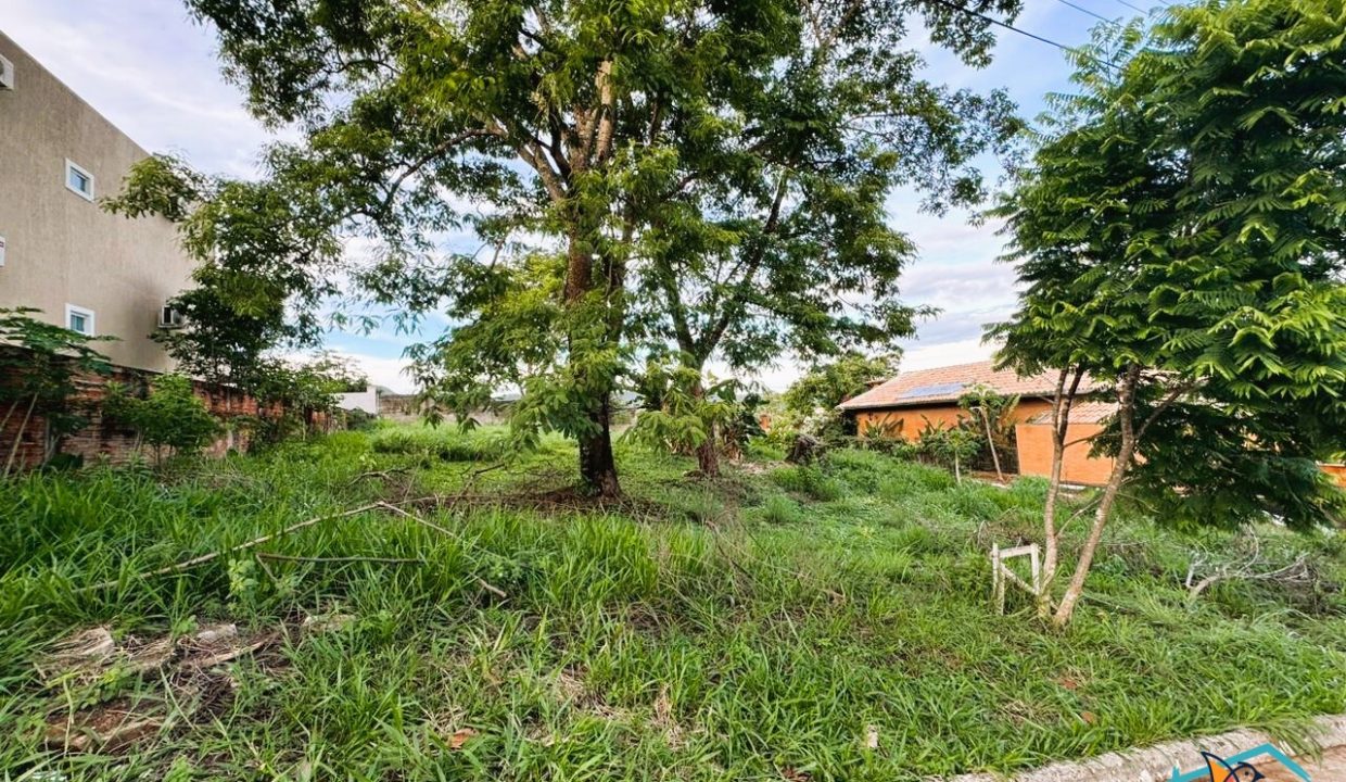 Venda de Chácara em Pirenópolis é na Siqueira Imobiliária de Pirenópolis / Imobiliária de Goiás / Imobiliária do Brasil / Imobiliária do Centro-Oeste / Pirenópolis Imóveis / Imóveis Pirenópolis / Imobiliária de Pirenópolis / Pirenópolis Imobiliária / Goiás Imóveis / Brasil Imóveis / Pirenópolis / Goiás / Brasil / Siqueira Imobiliária de Goiás / Consultoria Imobiliária / Consultor Imobiliário / Venda de Imóveis Pirenópolis / Melhor Imobiliária de Pirenópolis / Venda de pousadas / Venda de terrenos / venda de casas/ Venda de Lotes / Venda de Chácara / Venda de Fazenda / Venda de Apartamentos / Venda de Flat / Venda de Sítio / Brasília Imóveis / Goiânia Imóveis / Imobiliária de Goiânia / Imobiliária de Brasília/ Imobiliária em Pirenópolis / Imobiliária de Pirenópolis / Condomínio Fechado Vaga Fogo / Condomínio Paço da Estalagem / Condomínio Parque da Estalagem / Condomínio Quinta do Sol / Condomínio Fechado Pirenópolis / Cachoeiras Pirenópolis / Restaurante Pirenópolis / Imóveis Pirenópolis / Chácara Rio das Almas / Chácara Padre Bernardo / Venda de Chácara em Padre Bernardo / Venda de Casarão em Pirenópolis / Casarão em Pirenópolis / Casarão Histórico Pirenópolis / Centro Histórico Pirenópolis / Centro Pirenópolis / Venda de Sobrado no Condomínio Parque da Estalagem / Parque da Estalagem Pirenópolis / Melhor Condomínio de Pirenópolis / Condomínio Vaga Fogo / Venda de Sobrado Condomínio Vaga Fogo / Vaga Fogo / Córrego Vaga Fogo / Venda de Casa no Centro Histórico de Pirenópolis / Casa Centro Histórico / Venda de Casa na Vila Matutina / Casa Vila Matutina / Casa Bairro da Luz Pirenópolis / Venda de Casa em Bairro nobre de Pirenópolis / Venda de Casa de Luxo Pirenópolis / Casas Boas em Pirenópolis / Casa Com piscina Pirenópolis / Venda de Casa no Santa Bárbara Pirenópolis / Casa Santa Bárbara Pirenópolis / Casa Bairro do Carmo Pirenópolis / Casa Carmo / Casa Grande Pirenópolis / Venda de Casa Setor Meia Ponte Pirenópolis / Casa Setor Meia Ponte / Venda de Casa Santa Luzia Pirenópolis / Venda de Casa no Jardim Esmeralda / Venda de Casa Brasília / Venda de Casa DF / Brasília Imóveis / Lago Norte / Lago Sul / Brasília Plano Piloto / Dicas de Investimento em Pirenópolis / Igreja Matriz Pirenópolis / Igreja Matriz / Venda de Casa em Anápolis / Casa Anápolis / Imobiliária de Anápolis / Anápolis Imóveis / Venda de Casarão em Pirenópolis / Venda de Casarão em Goiás