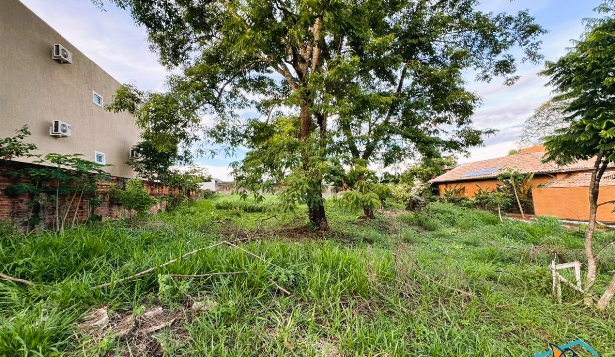 Venda de Chácara em Pirenópolis é na Siqueira Imobiliária de Pirenópolis / Imobiliária de Goiás / Imobiliária do Brasil / Imobiliária do Centro-Oeste / Pirenópolis Imóveis / Imóveis Pirenópolis / Imobiliária de Pirenópolis / Pirenópolis Imobiliária / Goiás Imóveis / Brasil Imóveis / Pirenópolis / Goiás / Brasil / Siqueira Imobiliária de Goiás / Consultoria Imobiliária / Consultor Imobiliário / Venda de Imóveis Pirenópolis / Melhor Imobiliária de Pirenópolis / Venda de pousadas / Venda de terrenos / venda de casas/ Venda de Lotes / Venda de Chácara / Venda de Fazenda / Venda de Apartamentos / Venda de Flat / Venda de Sítio / Brasília Imóveis / Goiânia Imóveis / Imobiliária de Goiânia / Imobiliária de Brasília/ Imobiliária em Pirenópolis / Imobiliária de Pirenópolis / Condomínio Fechado Vaga Fogo / Condomínio Paço da Estalagem / Condomínio Parque da Estalagem / Condomínio Quinta do Sol / Condomínio Fechado Pirenópolis / Cachoeiras Pirenópolis / Restaurante Pirenópolis / Imóveis Pirenópolis / Chácara Rio das Almas / Chácara Padre Bernardo / Venda de Chácara em Padre Bernardo / Venda de Casarão em Pirenópolis / Casarão em Pirenópolis / Casarão Histórico Pirenópolis / Centro Histórico Pirenópolis / Centro Pirenópolis / Venda de Sobrado no Condomínio Parque da Estalagem / Parque da Estalagem Pirenópolis / Melhor Condomínio de Pirenópolis / Condomínio Vaga Fogo / Venda de Sobrado Condomínio Vaga Fogo / Vaga Fogo / Córrego Vaga Fogo / Venda de Casa no Centro Histórico de Pirenópolis / Casa Centro Histórico / Venda de Casa na Vila Matutina / Casa Vila Matutina / Casa Bairro da Luz Pirenópolis / Venda de Casa em Bairro nobre de Pirenópolis / Venda de Casa de Luxo Pirenópolis / Casas Boas em Pirenópolis / Casa Com piscina Pirenópolis / Venda de Casa no Santa Bárbara Pirenópolis / Casa Santa Bárbara Pirenópolis / Casa Bairro do Carmo Pirenópolis / Casa Carmo / Casa Grande Pirenópolis / Venda de Casa Setor Meia Ponte Pirenópolis / Casa Setor Meia Ponte / Venda de Casa Santa Luzia Pirenópolis / Venda de Casa no Jardim Esmeralda / Venda de Casa Brasília / Venda de Casa DF / Brasília Imóveis / Lago Norte / Lago Sul / Brasília Plano Piloto / Dicas de Investimento em Pirenópolis / Igreja Matriz Pirenópolis / Igreja Matriz / Venda de Casa em Anápolis / Casa Anápolis / Imobiliária de Anápolis / Anápolis Imóveis / Venda de Casarão em Pirenópolis / Venda de Casarão em Goiás