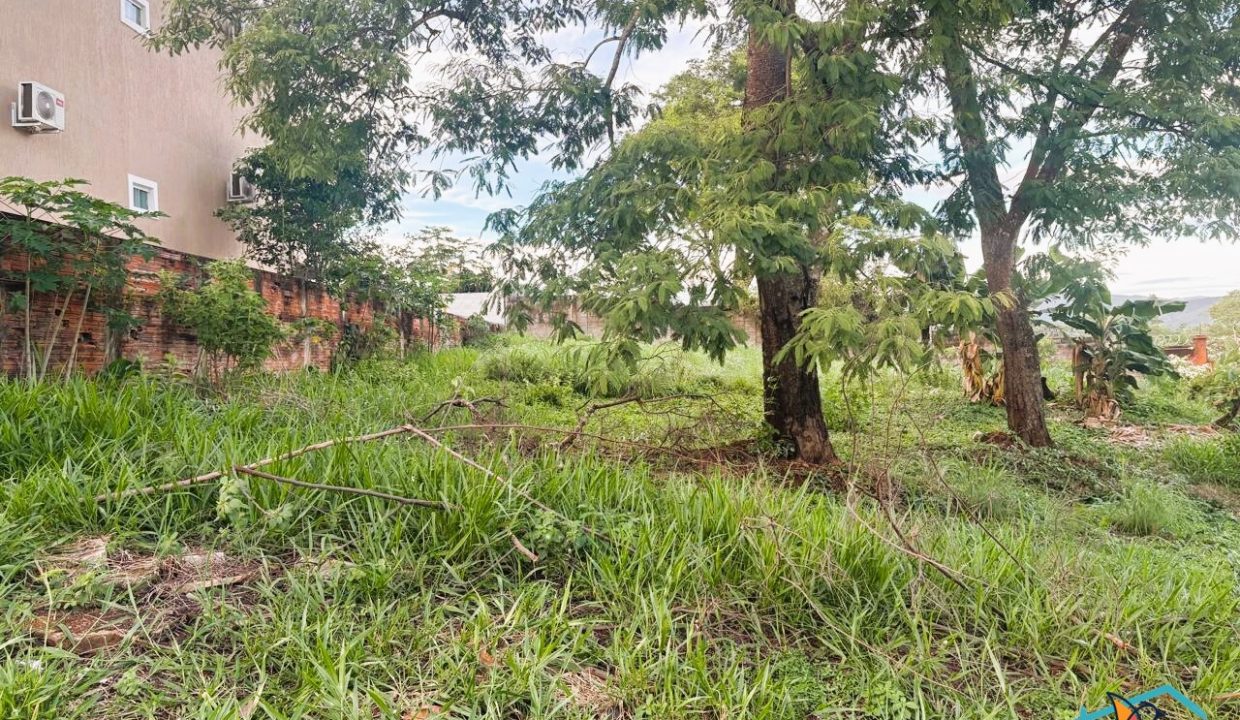 Venda de Chácara em Pirenópolis é na Siqueira Imobiliária de Pirenópolis / Imobiliária de Goiás / Imobiliária do Brasil / Imobiliária do Centro-Oeste / Pirenópolis Imóveis / Imóveis Pirenópolis / Imobiliária de Pirenópolis / Pirenópolis Imobiliária / Goiás Imóveis / Brasil Imóveis / Pirenópolis / Goiás / Brasil / Siqueira Imobiliária de Goiás / Consultoria Imobiliária / Consultor Imobiliário / Venda de Imóveis Pirenópolis / Melhor Imobiliária de Pirenópolis / Venda de pousadas / Venda de terrenos / venda de casas/ Venda de Lotes / Venda de Chácara / Venda de Fazenda / Venda de Apartamentos / Venda de Flat / Venda de Sítio / Brasília Imóveis / Goiânia Imóveis / Imobiliária de Goiânia / Imobiliária de Brasília/ Imobiliária em Pirenópolis / Imobiliária de Pirenópolis / Condomínio Fechado Vaga Fogo / Condomínio Paço da Estalagem / Condomínio Parque da Estalagem / Condomínio Quinta do Sol / Condomínio Fechado Pirenópolis / Cachoeiras Pirenópolis / Restaurante Pirenópolis / Imóveis Pirenópolis / Chácara Rio das Almas / Chácara Padre Bernardo / Venda de Chácara em Padre Bernardo / Venda de Casarão em Pirenópolis / Casarão em Pirenópolis / Casarão Histórico Pirenópolis / Centro Histórico Pirenópolis / Centro Pirenópolis / Venda de Sobrado no Condomínio Parque da Estalagem / Parque da Estalagem Pirenópolis / Melhor Condomínio de Pirenópolis / Condomínio Vaga Fogo / Venda de Sobrado Condomínio Vaga Fogo / Vaga Fogo / Córrego Vaga Fogo / Venda de Casa no Centro Histórico de Pirenópolis / Casa Centro Histórico / Venda de Casa na Vila Matutina / Casa Vila Matutina / Casa Bairro da Luz Pirenópolis / Venda de Casa em Bairro nobre de Pirenópolis / Venda de Casa de Luxo Pirenópolis / Casas Boas em Pirenópolis / Casa Com piscina Pirenópolis / Venda de Casa no Santa Bárbara Pirenópolis / Casa Santa Bárbara Pirenópolis / Casa Bairro do Carmo Pirenópolis / Casa Carmo / Casa Grande Pirenópolis / Venda de Casa Setor Meia Ponte Pirenópolis / Casa Setor Meia Ponte / Venda de Casa Santa Luzia Pirenópolis / Venda de Casa no Jardim Esmeralda / Venda de Casa Brasília / Venda de Casa DF / Brasília Imóveis / Lago Norte / Lago Sul / Brasília Plano Piloto / Dicas de Investimento em Pirenópolis / Igreja Matriz Pirenópolis / Igreja Matriz / Venda de Casa em Anápolis / Casa Anápolis / Imobiliária de Anápolis / Anápolis Imóveis / Venda de Casarão em Pirenópolis / Venda de Casarão em Goiás