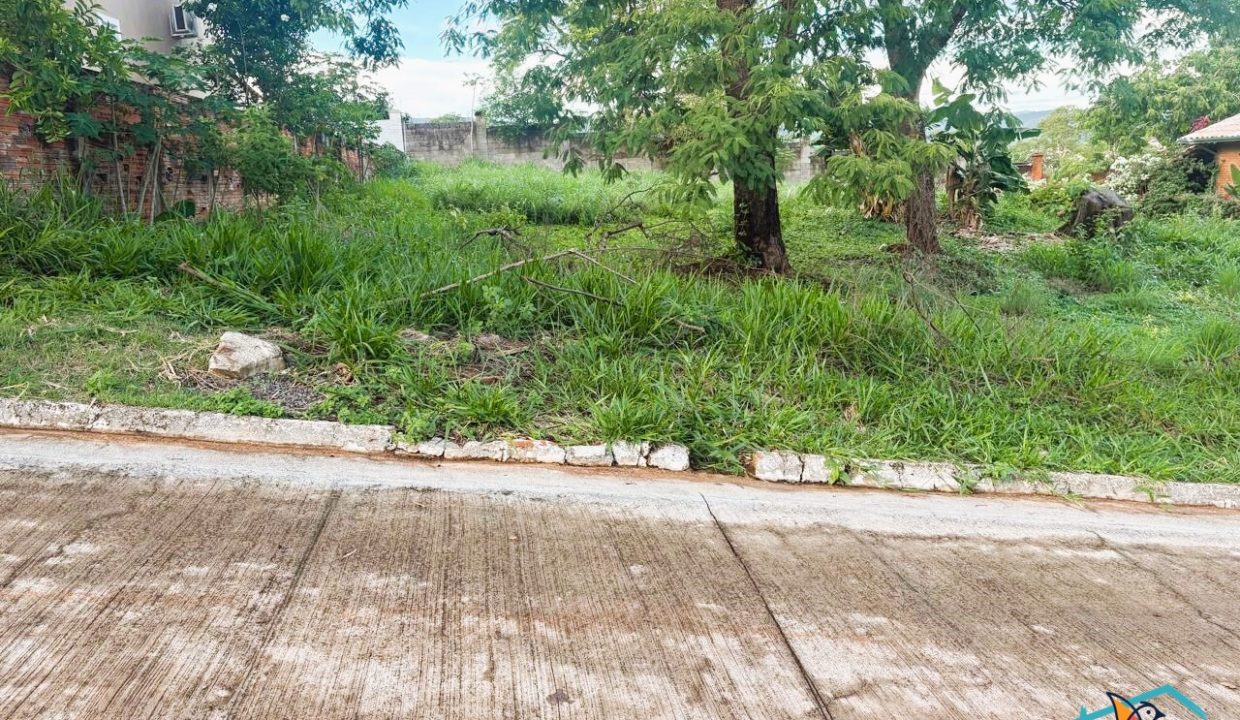 Venda de Chácara em Pirenópolis é na Siqueira Imobiliária de Pirenópolis / Imobiliária de Goiás / Imobiliária do Brasil / Imobiliária do Centro-Oeste / Pirenópolis Imóveis / Imóveis Pirenópolis / Imobiliária de Pirenópolis / Pirenópolis Imobiliária / Goiás Imóveis / Brasil Imóveis / Pirenópolis / Goiás / Brasil / Siqueira Imobiliária de Goiás / Consultoria Imobiliária / Consultor Imobiliário / Venda de Imóveis Pirenópolis / Melhor Imobiliária de Pirenópolis / Venda de pousadas / Venda de terrenos / venda de casas/ Venda de Lotes / Venda de Chácara / Venda de Fazenda / Venda de Apartamentos / Venda de Flat / Venda de Sítio / Brasília Imóveis / Goiânia Imóveis / Imobiliária de Goiânia / Imobiliária de Brasília/ Imobiliária em Pirenópolis / Imobiliária de Pirenópolis / Condomínio Fechado Vaga Fogo / Condomínio Paço da Estalagem / Condomínio Parque da Estalagem / Condomínio Quinta do Sol / Condomínio Fechado Pirenópolis / Cachoeiras Pirenópolis / Restaurante Pirenópolis / Imóveis Pirenópolis / Chácara Rio das Almas / Chácara Padre Bernardo / Venda de Chácara em Padre Bernardo / Venda de Casarão em Pirenópolis / Casarão em Pirenópolis / Casarão Histórico Pirenópolis / Centro Histórico Pirenópolis / Centro Pirenópolis / Venda de Sobrado no Condomínio Parque da Estalagem / Parque da Estalagem Pirenópolis / Melhor Condomínio de Pirenópolis / Condomínio Vaga Fogo / Venda de Sobrado Condomínio Vaga Fogo / Vaga Fogo / Córrego Vaga Fogo / Venda de Casa no Centro Histórico de Pirenópolis / Casa Centro Histórico / Venda de Casa na Vila Matutina / Casa Vila Matutina / Casa Bairro da Luz Pirenópolis / Venda de Casa em Bairro nobre de Pirenópolis / Venda de Casa de Luxo Pirenópolis / Casas Boas em Pirenópolis / Casa Com piscina Pirenópolis / Venda de Casa no Santa Bárbara Pirenópolis / Casa Santa Bárbara Pirenópolis / Casa Bairro do Carmo Pirenópolis / Casa Carmo / Casa Grande Pirenópolis / Venda de Casa Setor Meia Ponte Pirenópolis / Casa Setor Meia Ponte / Venda de Casa Santa Luzia Pirenópolis / Venda de Casa no Jardim Esmeralda / Venda de Casa Brasília / Venda de Casa DF / Brasília Imóveis / Lago Norte / Lago Sul / Brasília Plano Piloto / Dicas de Investimento em Pirenópolis / Igreja Matriz Pirenópolis / Igreja Matriz / Venda de Casa em Anápolis / Casa Anápolis / Imobiliária de Anápolis / Anápolis Imóveis / Venda de Casarão em Pirenópolis / Venda de Casarão em Goiás