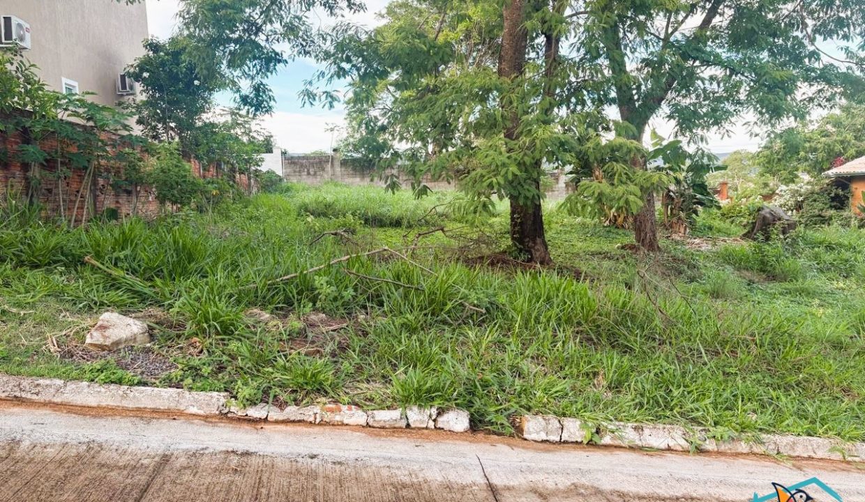 Venda de Chácara em Pirenópolis é na Siqueira Imobiliária de Pirenópolis / Imobiliária de Goiás / Imobiliária do Brasil / Imobiliária do Centro-Oeste / Pirenópolis Imóveis / Imóveis Pirenópolis / Imobiliária de Pirenópolis / Pirenópolis Imobiliária / Goiás Imóveis / Brasil Imóveis / Pirenópolis / Goiás / Brasil / Siqueira Imobiliária de Goiás / Consultoria Imobiliária / Consultor Imobiliário / Venda de Imóveis Pirenópolis / Melhor Imobiliária de Pirenópolis / Venda de pousadas / Venda de terrenos / venda de casas/ Venda de Lotes / Venda de Chácara / Venda de Fazenda / Venda de Apartamentos / Venda de Flat / Venda de Sítio / Brasília Imóveis / Goiânia Imóveis / Imobiliária de Goiânia / Imobiliária de Brasília/ Imobiliária em Pirenópolis / Imobiliária de Pirenópolis / Condomínio Fechado Vaga Fogo / Condomínio Paço da Estalagem / Condomínio Parque da Estalagem / Condomínio Quinta do Sol / Condomínio Fechado Pirenópolis / Cachoeiras Pirenópolis / Restaurante Pirenópolis / Imóveis Pirenópolis / Chácara Rio das Almas / Chácara Padre Bernardo / Venda de Chácara em Padre Bernardo / Venda de Casarão em Pirenópolis / Casarão em Pirenópolis / Casarão Histórico Pirenópolis / Centro Histórico Pirenópolis / Centro Pirenópolis / Venda de Sobrado no Condomínio Parque da Estalagem / Parque da Estalagem Pirenópolis / Melhor Condomínio de Pirenópolis / Condomínio Vaga Fogo / Venda de Sobrado Condomínio Vaga Fogo / Vaga Fogo / Córrego Vaga Fogo / Venda de Casa no Centro Histórico de Pirenópolis / Casa Centro Histórico / Venda de Casa na Vila Matutina / Casa Vila Matutina / Casa Bairro da Luz Pirenópolis / Venda de Casa em Bairro nobre de Pirenópolis / Venda de Casa de Luxo Pirenópolis / Casas Boas em Pirenópolis / Casa Com piscina Pirenópolis / Venda de Casa no Santa Bárbara Pirenópolis / Casa Santa Bárbara Pirenópolis / Casa Bairro do Carmo Pirenópolis / Casa Carmo / Casa Grande Pirenópolis / Venda de Casa Setor Meia Ponte Pirenópolis / Casa Setor Meia Ponte / Venda de Casa Santa Luzia Pirenópolis / Venda de Casa no Jardim Esmeralda / Venda de Casa Brasília / Venda de Casa DF / Brasília Imóveis / Lago Norte / Lago Sul / Brasília Plano Piloto / Dicas de Investimento em Pirenópolis / Igreja Matriz Pirenópolis / Igreja Matriz / Venda de Casa em Anápolis / Casa Anápolis / Imobiliária de Anápolis / Anápolis Imóveis / Venda de Casarão em Pirenópolis / Venda de Casarão em Goiás