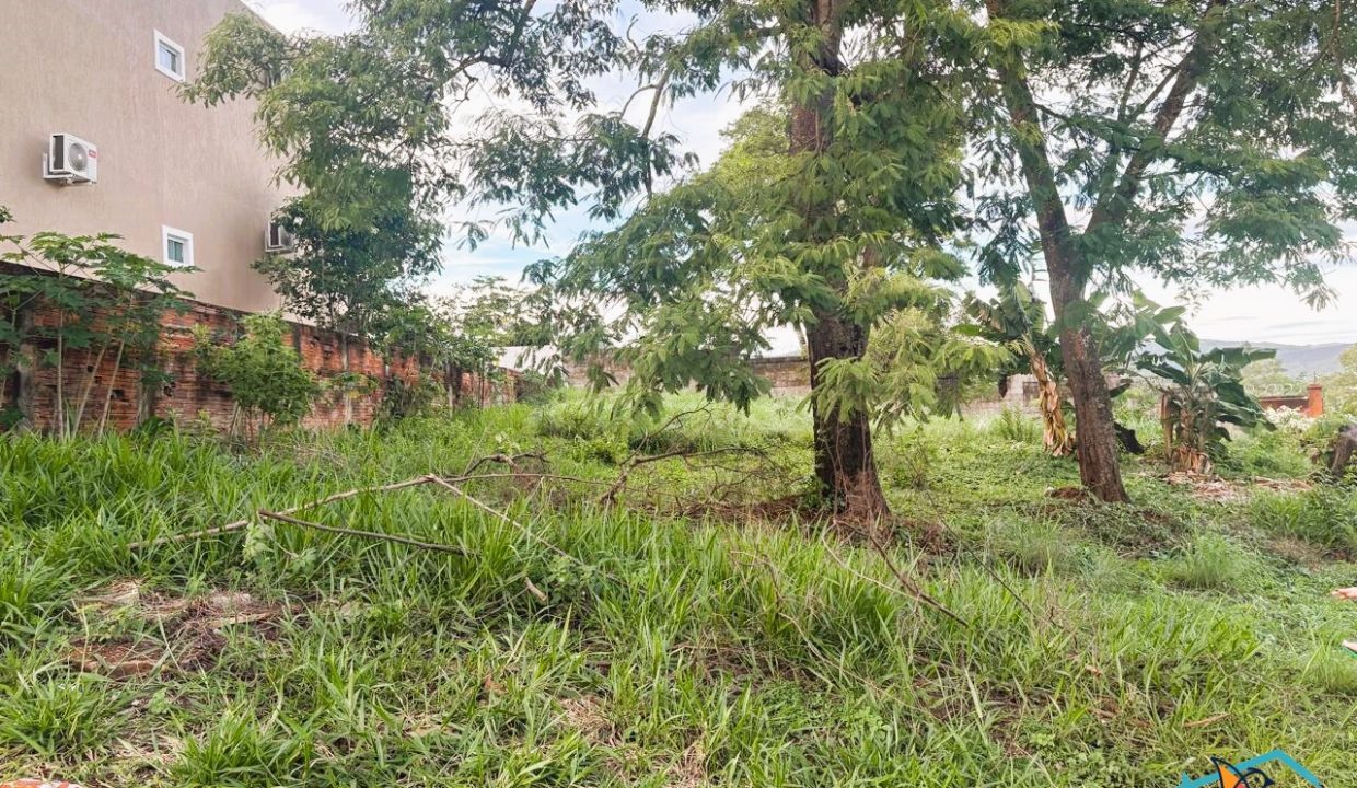 Venda de Chácara em Pirenópolis é na Siqueira Imobiliária de Pirenópolis / Imobiliária de Goiás / Imobiliária do Brasil / Imobiliária do Centro-Oeste / Pirenópolis Imóveis / Imóveis Pirenópolis / Imobiliária de Pirenópolis / Pirenópolis Imobiliária / Goiás Imóveis / Brasil Imóveis / Pirenópolis / Goiás / Brasil / Siqueira Imobiliária de Goiás / Consultoria Imobiliária / Consultor Imobiliário / Venda de Imóveis Pirenópolis / Melhor Imobiliária de Pirenópolis / Venda de pousadas / Venda de terrenos / venda de casas/ Venda de Lotes / Venda de Chácara / Venda de Fazenda / Venda de Apartamentos / Venda de Flat / Venda de Sítio / Brasília Imóveis / Goiânia Imóveis / Imobiliária de Goiânia / Imobiliária de Brasília/ Imobiliária em Pirenópolis / Imobiliária de Pirenópolis / Condomínio Fechado Vaga Fogo / Condomínio Paço da Estalagem / Condomínio Parque da Estalagem / Condomínio Quinta do Sol / Condomínio Fechado Pirenópolis / Cachoeiras Pirenópolis / Restaurante Pirenópolis / Imóveis Pirenópolis / Chácara Rio das Almas / Chácara Padre Bernardo / Venda de Chácara em Padre Bernardo / Venda de Casarão em Pirenópolis / Casarão em Pirenópolis / Casarão Histórico Pirenópolis / Centro Histórico Pirenópolis / Centro Pirenópolis / Venda de Sobrado no Condomínio Parque da Estalagem / Parque da Estalagem Pirenópolis / Melhor Condomínio de Pirenópolis / Condomínio Vaga Fogo / Venda de Sobrado Condomínio Vaga Fogo / Vaga Fogo / Córrego Vaga Fogo / Venda de Casa no Centro Histórico de Pirenópolis / Casa Centro Histórico / Venda de Casa na Vila Matutina / Casa Vila Matutina / Casa Bairro da Luz Pirenópolis / Venda de Casa em Bairro nobre de Pirenópolis / Venda de Casa de Luxo Pirenópolis / Casas Boas em Pirenópolis / Casa Com piscina Pirenópolis / Venda de Casa no Santa Bárbara Pirenópolis / Casa Santa Bárbara Pirenópolis / Casa Bairro do Carmo Pirenópolis / Casa Carmo / Casa Grande Pirenópolis / Venda de Casa Setor Meia Ponte Pirenópolis / Casa Setor Meia Ponte / Venda de Casa Santa Luzia Pirenópolis / Venda de Casa no Jardim Esmeralda / Venda de Casa Brasília / Venda de Casa DF / Brasília Imóveis / Lago Norte / Lago Sul / Brasília Plano Piloto / Dicas de Investimento em Pirenópolis / Igreja Matriz Pirenópolis / Igreja Matriz / Venda de Casa em Anápolis / Casa Anápolis / Imobiliária de Anápolis / Anápolis Imóveis / Venda de Casarão em Pirenópolis / Venda de Casarão em Goiás