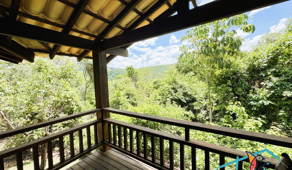 Venda de Chácara em Pirenópolis é na Siqueira Imobiliária de Pirenópolis / Imobiliária de Goiás / Imobiliária do Brasil / Imobiliária do Centro-Oeste / Pirenópolis Imóveis / Imóveis Pirenópolis / Imobiliária de Pirenópolis / Pirenópolis Imobiliária / Goiás Imóveis / Brasil Imóveis / Pirenópolis / Goiás / Brasil / Siqueira Imobiliária de Goiás / Consultoria Imobiliária / Consultor Imobiliário / Venda de Imóveis Pirenópolis / Melhor Imobiliária de Pirenópolis / Venda de pousadas / Venda de terrenos / venda de casas/ Venda de Lotes / Venda de Chácara / Venda de Fazenda / Venda de Apartamentos / Venda de Flat / Venda de Sítio / Brasília Imóveis / Goiânia Imóveis / Imobiliária de Goiânia / Imobiliária de Brasília/ Imobiliária em Pirenópolis / Imobiliária de Pirenópolis / Condomínio Fechado Vaga Fogo / Condomínio Paço da Estalagem / Condomínio Parque da Estalagem / Condomínio Quinta do Sol / Condomínio Fechado Pirenópolis / Cachoeiras Pirenópolis / Restaurante Pirenópolis / Imóveis Pirenópolis / Chácara Rio das Almas / Chácara Padre Bernardo / Venda de Chácara em Padre Bernardo / Venda de Casarão em Pirenópolis / Casarão em Pirenópolis / Casarão Histórico Pirenópolis / Centro Histórico Pirenópolis / Centro Pirenópolis / Venda de Sobrado no Condomínio Parque da Estalagem / Parque da Estalagem Pirenópolis / Melhor Condomínio de Pirenópolis / Condomínio Vaga Fogo / Venda de Sobrado Condomínio Vaga Fogo / Vaga Fogo / Córrego Vaga Fogo / Venda de Casa no Centro Histórico de Pirenópolis / Casa Centro Histórico / Venda de Casa na Vila Matutina / Casa Vila Matutina / Casa Bairro da Luz Pirenópolis / Venda de Casa em Bairro nobre de Pirenópolis / Venda de Casa de Luxo Pirenópolis / Casas Boas em Pirenópolis / Casa Com piscina Pirenópolis / Venda de Casa no Santa Bárbara Pirenópolis / Casa Santa Bárbara Pirenópolis / Casa Bairro do Carmo Pirenópolis / Casa Carmo / Casa Grande Pirenópolis / Venda de Casa Setor Meia Ponte Pirenópolis / Casa Setor Meia Ponte / Venda de Casa Santa Luzia Pirenópolis / Venda de Casa no Jardim Esmeralda / Venda de Casa Brasília / Venda de Casa DF / Brasília Imóveis / Lago Norte / Lago Sul / Brasília Plano Piloto / Dicas de Investimento em Pirenópolis / Igreja Matriz Pirenópolis / Igreja Matriz / Venda de Casa em Anápolis / Casa Anápolis / Imobiliária de Anápolis / Anápolis Imóveis / Venda de Casarão em Pirenópolis / Venda de Casarão em Goiás