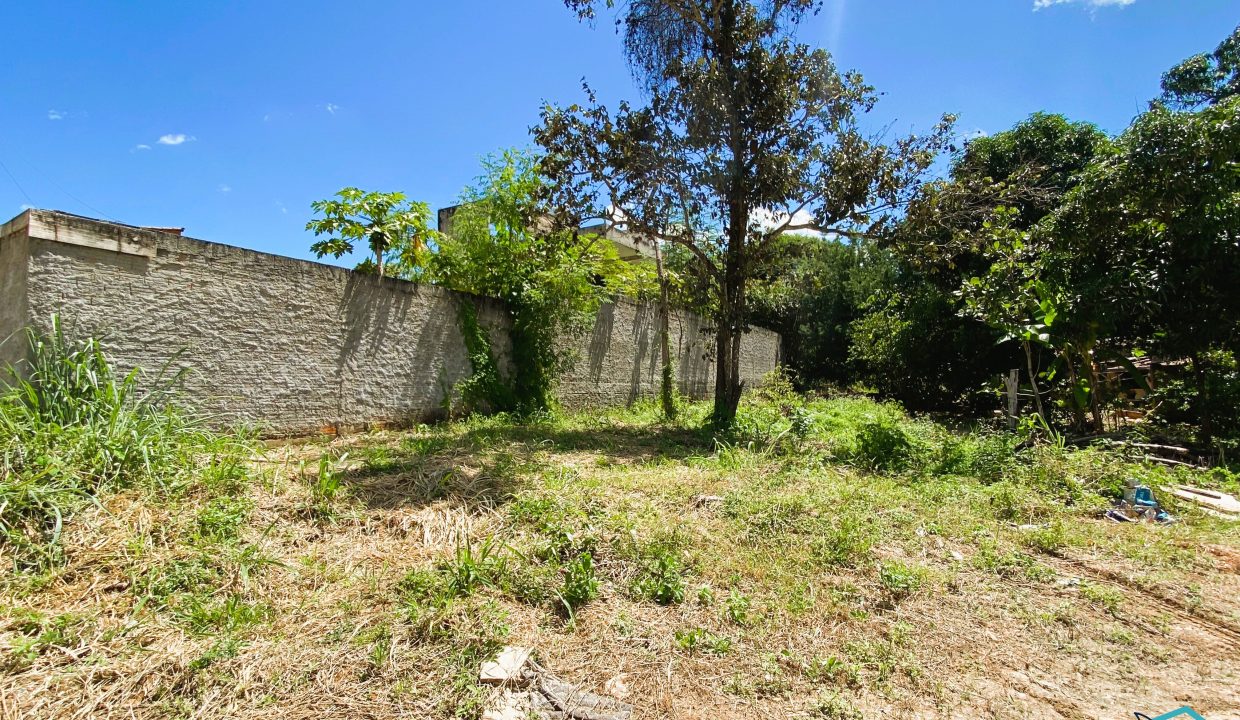 Venda de Chácara em Pirenópolis é na Siqueira Imobiliária de Pirenópolis / Imobiliária de Goiás / Imobiliária do Brasil / Imobiliária do Centro-Oeste / Pirenópolis Imóveis / Imóveis Pirenópolis / Imobiliária de Pirenópolis / Pirenópolis Imobiliária / Goiás Imóveis / Brasil Imóveis / Pirenópolis / Goiás / Brasil / Siqueira Imobiliária de Goiás / Consultoria Imobiliária / Consultor Imobiliário / Venda de Imóveis Pirenópolis / Melhor Imobiliária de Pirenópolis / Venda de pousadas / Venda de terrenos / venda de casas/ Venda de Lotes / Venda de Chácara / Venda de Fazenda / Venda de Apartamentos / Venda de Flat / Venda de Sítio / Brasília Imóveis / Goiânia Imóveis / Imobiliária de Goiânia / Imobiliária de Brasília/ Imobiliária em Pirenópolis / Imobiliária de Pirenópolis / Condomínio Fechado Vaga Fogo / Condomínio Paço da Estalagem / Condomínio Parque da Estalagem / Condomínio Quinta do Sol / Condomínio Fechado Pirenópolis / Cachoeiras Pirenópolis / Restaurante Pirenópolis / Imóveis Pirenópolis / Chácara Rio das Almas / Chácara Padre Bernardo / Venda de Chácara em Padre Bernardo / Venda de Casarão em Pirenópolis / Casarão em Pirenópolis / Casarão Histórico Pirenópolis / Centro Histórico Pirenópolis / Centro Pirenópolis / Venda de Sobrado no Condomínio Parque da Estalagem / Parque da Estalagem Pirenópolis / Melhor Condomínio de Pirenópolis / Condomínio Vaga Fogo / Venda de Sobrado Condomínio Vaga Fogo / Vaga Fogo / Córrego Vaga Fogo / Venda de Casa no Centro Histórico de Pirenópolis / Casa Centro Histórico / Venda de Casa na Vila Matutina / Casa Vila Matutina / Casa Bairro da Luz Pirenópolis / Venda de Casa em Bairro nobre de Pirenópolis / Venda de Casa de Luxo Pirenópolis / Casas Boas em Pirenópolis / Casa Com piscina Pirenópolis / Venda de Casa no Santa Bárbara Pirenópolis / Casa Santa Bárbara Pirenópolis / Casa Bairro do Carmo Pirenópolis / Casa Carmo / Casa Grande Pirenópolis / Venda de Casa Setor Meia Ponte Pirenópolis / Casa Setor Meia Ponte / Venda de Casa Santa Luzia Pirenópolis / Venda de Casa no Jardim Esmeralda / Venda de Casa Brasília / Venda de Casa DF / Brasília Imóveis / Lago Norte / Lago Sul / Brasília Plano Piloto / Dicas de Investimento em Pirenópolis / Igreja Matriz Pirenópolis / Igreja Matriz / Venda de Casa em Anápolis / Casa Anápolis / Imobiliária de Anápolis / Anápolis Imóveis / Venda de Casarão em Pirenópolis / Venda de Casarão em Goiás