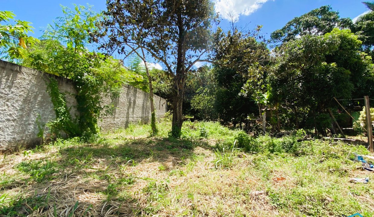 Venda de Chácara em Pirenópolis é na Siqueira Imobiliária de Pirenópolis / Imobiliária de Goiás / Imobiliária do Brasil / Imobiliária do Centro-Oeste / Pirenópolis Imóveis / Imóveis Pirenópolis / Imobiliária de Pirenópolis / Pirenópolis Imobiliária / Goiás Imóveis / Brasil Imóveis / Pirenópolis / Goiás / Brasil / Siqueira Imobiliária de Goiás / Consultoria Imobiliária / Consultor Imobiliário / Venda de Imóveis Pirenópolis / Melhor Imobiliária de Pirenópolis / Venda de pousadas / Venda de terrenos / venda de casas/ Venda de Lotes / Venda de Chácara / Venda de Fazenda / Venda de Apartamentos / Venda de Flat / Venda de Sítio / Brasília Imóveis / Goiânia Imóveis / Imobiliária de Goiânia / Imobiliária de Brasília/ Imobiliária em Pirenópolis / Imobiliária de Pirenópolis / Condomínio Fechado Vaga Fogo / Condomínio Paço da Estalagem / Condomínio Parque da Estalagem / Condomínio Quinta do Sol / Condomínio Fechado Pirenópolis / Cachoeiras Pirenópolis / Restaurante Pirenópolis / Imóveis Pirenópolis / Chácara Rio das Almas / Chácara Padre Bernardo / Venda de Chácara em Padre Bernardo / Venda de Casarão em Pirenópolis / Casarão em Pirenópolis / Casarão Histórico Pirenópolis / Centro Histórico Pirenópolis / Centro Pirenópolis / Venda de Sobrado no Condomínio Parque da Estalagem / Parque da Estalagem Pirenópolis / Melhor Condomínio de Pirenópolis / Condomínio Vaga Fogo / Venda de Sobrado Condomínio Vaga Fogo / Vaga Fogo / Córrego Vaga Fogo / Venda de Casa no Centro Histórico de Pirenópolis / Casa Centro Histórico / Venda de Casa na Vila Matutina / Casa Vila Matutina / Casa Bairro da Luz Pirenópolis / Venda de Casa em Bairro nobre de Pirenópolis / Venda de Casa de Luxo Pirenópolis / Casas Boas em Pirenópolis / Casa Com piscina Pirenópolis / Venda de Casa no Santa Bárbara Pirenópolis / Casa Santa Bárbara Pirenópolis / Casa Bairro do Carmo Pirenópolis / Casa Carmo / Casa Grande Pirenópolis / Venda de Casa Setor Meia Ponte Pirenópolis / Casa Setor Meia Ponte / Venda de Casa Santa Luzia Pirenópolis / Venda de Casa no Jardim Esmeralda / Venda de Casa Brasília / Venda de Casa DF / Brasília Imóveis / Lago Norte / Lago Sul / Brasília Plano Piloto / Dicas de Investimento em Pirenópolis / Igreja Matriz Pirenópolis / Igreja Matriz / Venda de Casa em Anápolis / Casa Anápolis / Imobiliária de Anápolis / Anápolis Imóveis / Venda de Casarão em Pirenópolis / Venda de Casarão em Goiás