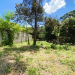 Venda de Chácara em Pirenópolis é na Siqueira Imobiliária de Pirenópolis / Imobiliária de Goiás / Imobiliária do Brasil / Imobiliária do Centro-Oeste / Pirenópolis Imóveis / Imóveis Pirenópolis / Imobiliária de Pirenópolis / Pirenópolis Imobiliária / Goiás Imóveis / Brasil Imóveis / Pirenópolis / Goiás / Brasil / Siqueira Imobiliária de Goiás / Consultoria Imobiliária / Consultor Imobiliário / Venda de Imóveis Pirenópolis / Melhor Imobiliária de Pirenópolis / Venda de pousadas / Venda de terrenos / venda de casas/ Venda de Lotes / Venda de Chácara / Venda de Fazenda / Venda de Apartamentos / Venda de Flat / Venda de Sítio / Brasília Imóveis / Goiânia Imóveis / Imobiliária de Goiânia / Imobiliária de Brasília/ Imobiliária em Pirenópolis / Imobiliária de Pirenópolis / Condomínio Fechado Vaga Fogo / Condomínio Paço da Estalagem / Condomínio Parque da Estalagem / Condomínio Quinta do Sol / Condomínio Fechado Pirenópolis / Cachoeiras Pirenópolis / Restaurante Pirenópolis / Imóveis Pirenópolis / Chácara Rio das Almas / Chácara Padre Bernardo / Venda de Chácara em Padre Bernardo / Venda de Casarão em Pirenópolis / Casarão em Pirenópolis / Casarão Histórico Pirenópolis / Centro Histórico Pirenópolis / Centro Pirenópolis / Venda de Sobrado no Condomínio Parque da Estalagem / Parque da Estalagem Pirenópolis / Melhor Condomínio de Pirenópolis / Condomínio Vaga Fogo / Venda de Sobrado Condomínio Vaga Fogo / Vaga Fogo / Córrego Vaga Fogo / Venda de Casa no Centro Histórico de Pirenópolis / Casa Centro Histórico / Venda de Casa na Vila Matutina / Casa Vila Matutina / Casa Bairro da Luz Pirenópolis / Venda de Casa em Bairro nobre de Pirenópolis / Venda de Casa de Luxo Pirenópolis / Casas Boas em Pirenópolis / Casa Com piscina Pirenópolis / Venda de Casa no Santa Bárbara Pirenópolis / Casa Santa Bárbara Pirenópolis / Casa Bairro do Carmo Pirenópolis / Casa Carmo / Casa Grande Pirenópolis / Venda de Casa Setor Meia Ponte Pirenópolis / Casa Setor Meia Ponte / Venda de Casa Santa Luzia Pirenópolis / Venda de Casa no Jardim Esmeralda / Venda de Casa Brasília / Venda de Casa DF / Brasília Imóveis / Lago Norte / Lago Sul / Brasília Plano Piloto / Dicas de Investimento em Pirenópolis / Igreja Matriz Pirenópolis / Igreja Matriz / Venda de Casa em Anápolis / Casa Anápolis / Imobiliária de Anápolis / Anápolis Imóveis / Venda de Casarão em Pirenópolis / Venda de Casarão em Goiás