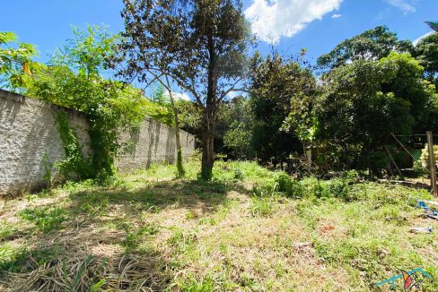 Venda de Chácara em Pirenópolis é na Siqueira Imobiliária de Pirenópolis / Imobiliária de Goiás / Imobiliária do Brasil / Imobiliária do Centro-Oeste / Pirenópolis Imóveis / Imóveis Pirenópolis / Imobiliária de Pirenópolis / Pirenópolis Imobiliária / Goiás Imóveis / Brasil Imóveis / Pirenópolis / Goiás / Brasil / Siqueira Imobiliária de Goiás / Consultoria Imobiliária / Consultor Imobiliário / Venda de Imóveis Pirenópolis / Melhor Imobiliária de Pirenópolis / Venda de pousadas / Venda de terrenos / venda de casas/ Venda de Lotes / Venda de Chácara / Venda de Fazenda / Venda de Apartamentos / Venda de Flat / Venda de Sítio / Brasília Imóveis / Goiânia Imóveis / Imobiliária de Goiânia / Imobiliária de Brasília/ Imobiliária em Pirenópolis / Imobiliária de Pirenópolis / Condomínio Fechado Vaga Fogo / Condomínio Paço da Estalagem / Condomínio Parque da Estalagem / Condomínio Quinta do Sol / Condomínio Fechado Pirenópolis / Cachoeiras Pirenópolis / Restaurante Pirenópolis / Imóveis Pirenópolis / Chácara Rio das Almas / Chácara Padre Bernardo / Venda de Chácara em Padre Bernardo / Venda de Casarão em Pirenópolis / Casarão em Pirenópolis / Casarão Histórico Pirenópolis / Centro Histórico Pirenópolis / Centro Pirenópolis / Venda de Sobrado no Condomínio Parque da Estalagem / Parque da Estalagem Pirenópolis / Melhor Condomínio de Pirenópolis / Condomínio Vaga Fogo / Venda de Sobrado Condomínio Vaga Fogo / Vaga Fogo / Córrego Vaga Fogo / Venda de Casa no Centro Histórico de Pirenópolis / Casa Centro Histórico / Venda de Casa na Vila Matutina / Casa Vila Matutina / Casa Bairro da Luz Pirenópolis / Venda de Casa em Bairro nobre de Pirenópolis / Venda de Casa de Luxo Pirenópolis / Casas Boas em Pirenópolis / Casa Com piscina Pirenópolis / Venda de Casa no Santa Bárbara Pirenópolis / Casa Santa Bárbara Pirenópolis / Casa Bairro do Carmo Pirenópolis / Casa Carmo / Casa Grande Pirenópolis / Venda de Casa Setor Meia Ponte Pirenópolis / Casa Setor Meia Ponte / Venda de Casa Santa Luzia Pirenópolis / Venda de Casa no Jardim Esmeralda / Venda de Casa Brasília / Venda de Casa DF / Brasília Imóveis / Lago Norte / Lago Sul / Brasília Plano Piloto / Dicas de Investimento em Pirenópolis / Igreja Matriz Pirenópolis / Igreja Matriz / Venda de Casa em Anápolis / Casa Anápolis / Imobiliária de Anápolis / Anápolis Imóveis / Venda de Casarão em Pirenópolis / Venda de Casarão em Goiás